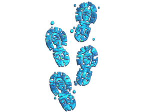 Sticker | CT Tracks (Glitter)