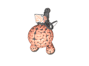 Charm | Big Brain